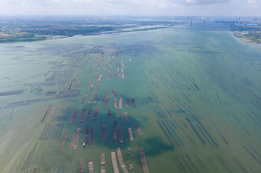 百家乐平台全媒+丨天空之眼瞰湛江：向海而兴 向海图强 向海“湛”放