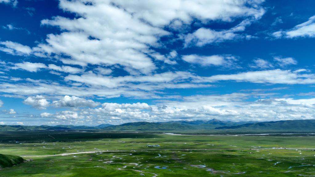 美丽中国丨夏日玛曲湿地