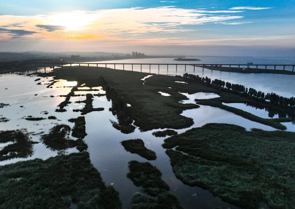 河南济源：黄河湿地好生态