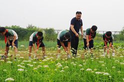 山东乐陵：多彩课程促成长