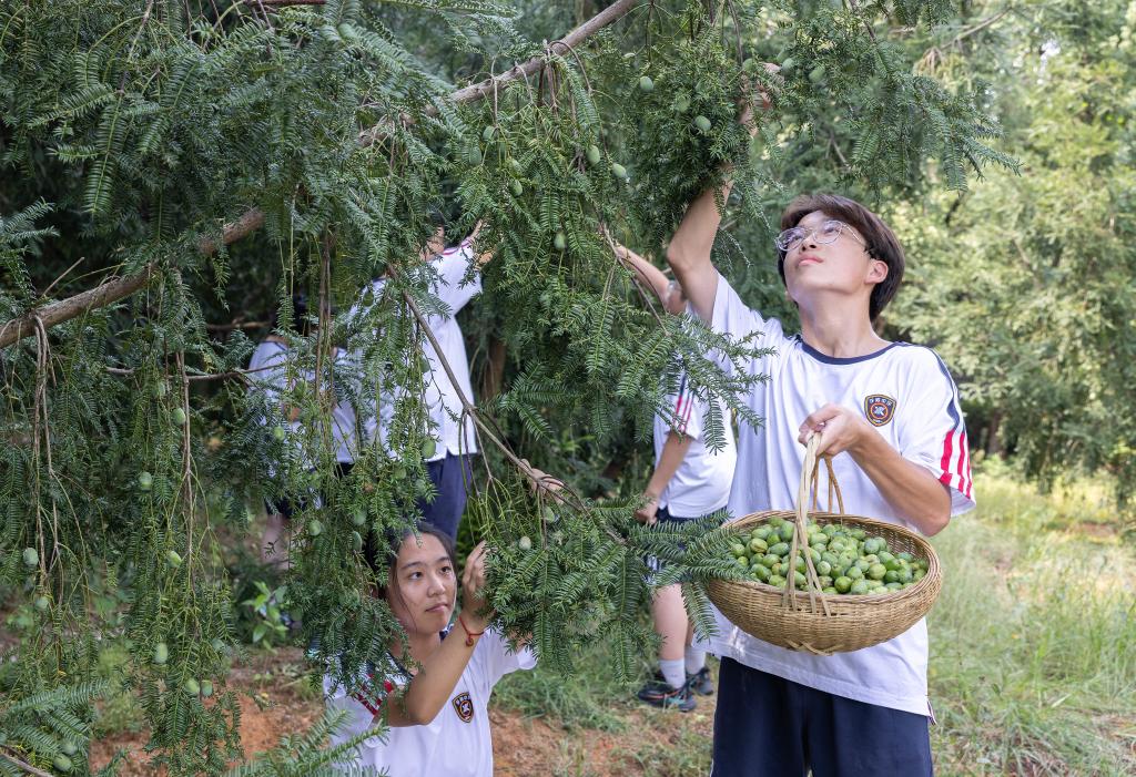 浙江诸暨：劳动教育伴成长