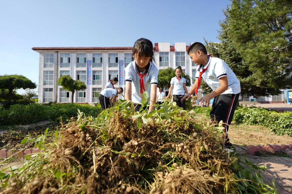 河北乐亭：“校园农场”助力劳动教育提质增效