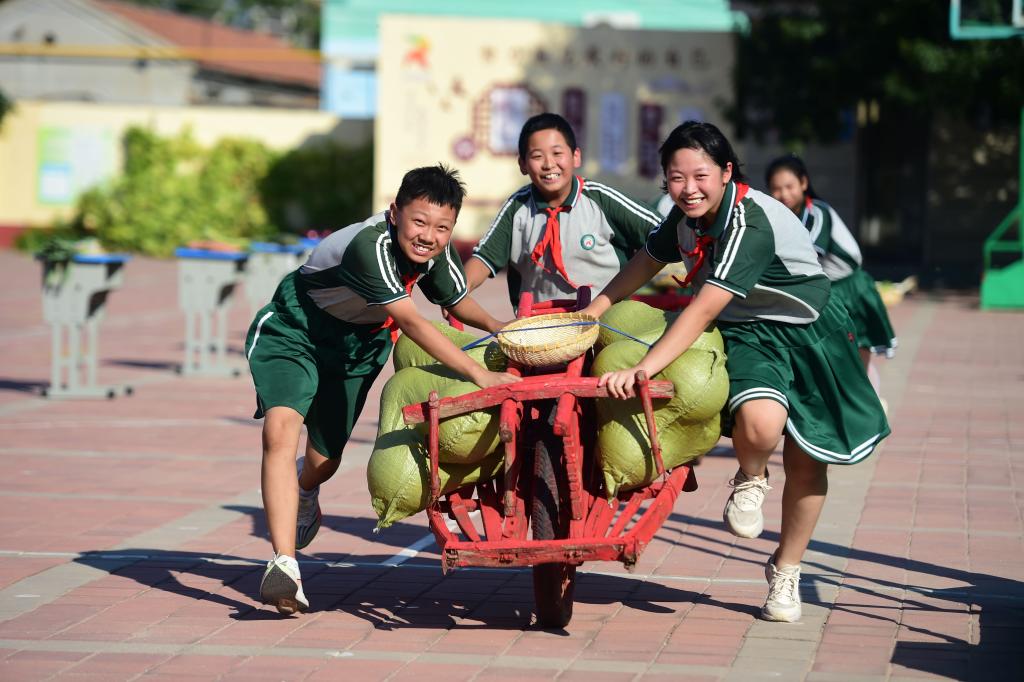 校园丰收节 劳动快乐多