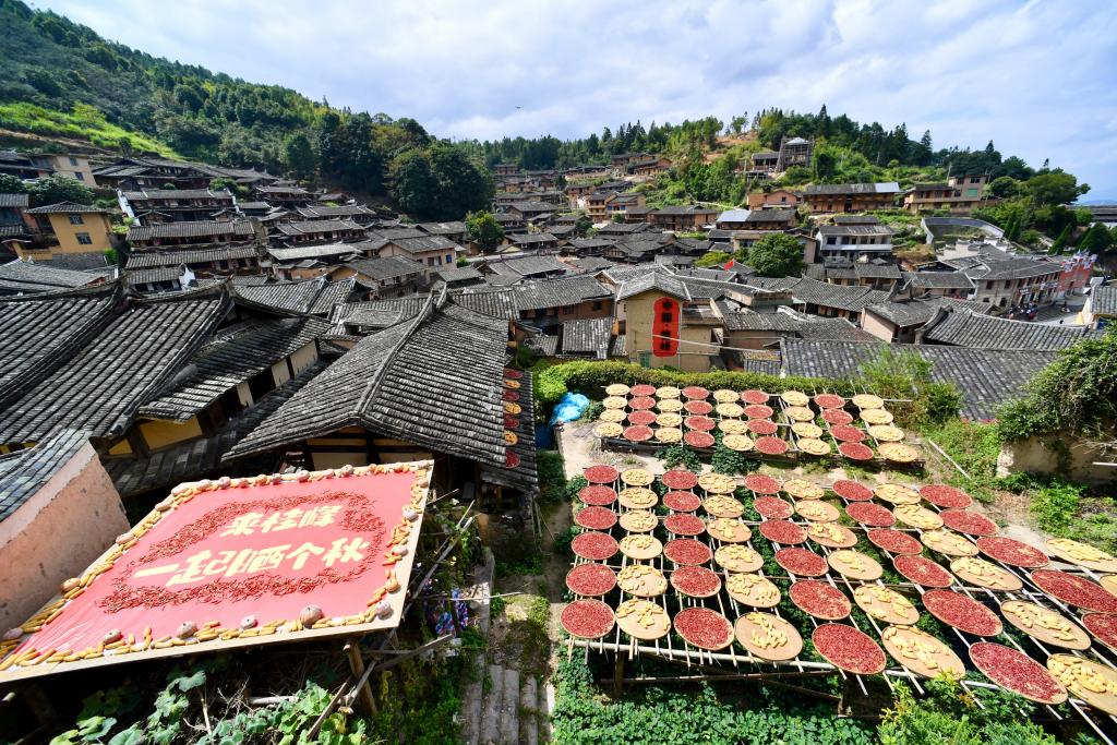 福建尤溪：古村“晒秋”忙