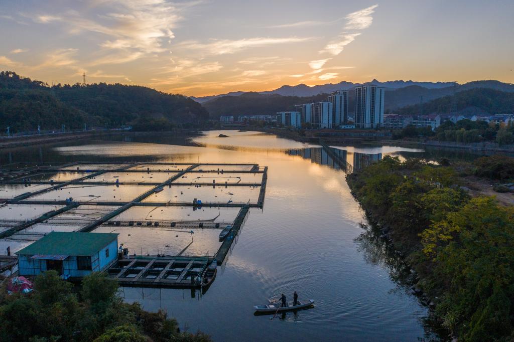 浙江建德：特色种养殖产业助力文旅消费新活力