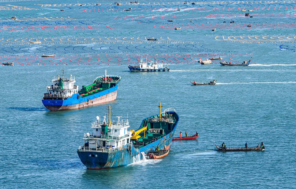 山东荣成：鲍鱼“南下”开启越冬之旅