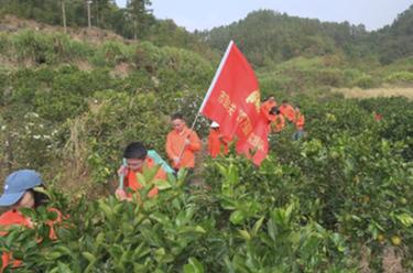 百家乐平台全媒+丨福建宁德：在“四下基层”实践中培养锻炼年轻干部