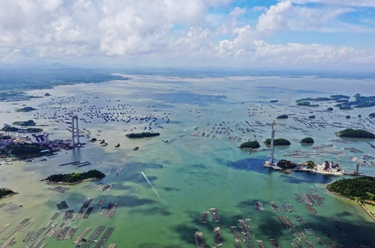 碧海蓝湾涌“金浪”——广西向海经济之平陆运河