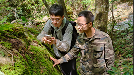 赣闽携手“逐”绿守护武夷山国家公园