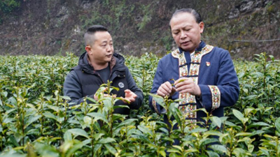 龙献文：奋战在乡村振兴一线