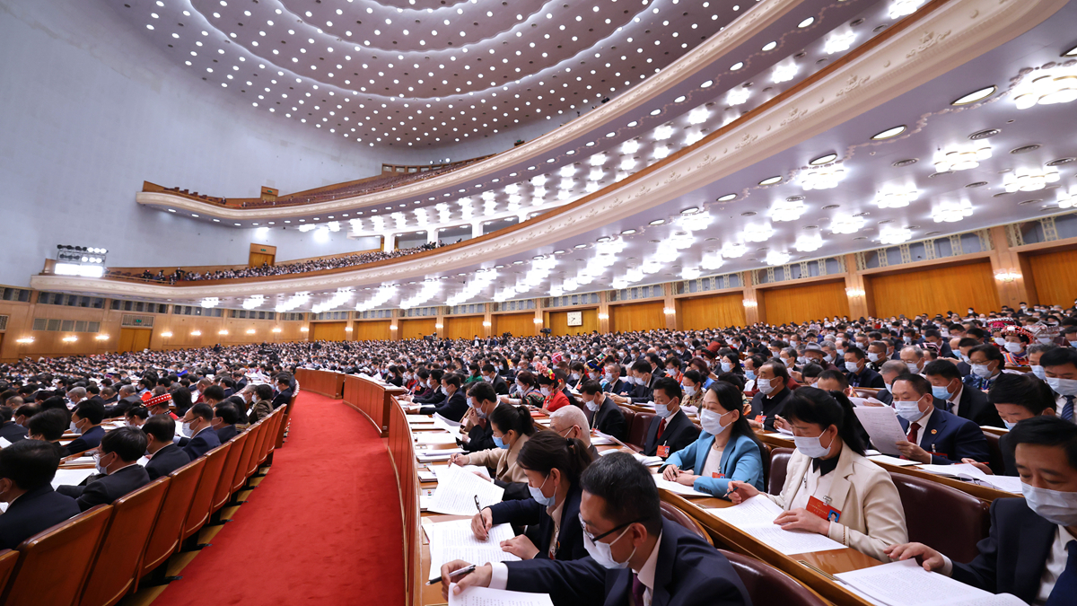 十三届全国人大五次会议举行第二次全体会议