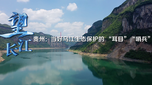 望长江｜贵州：当好乌江生态保护的“耳目”“哨兵”