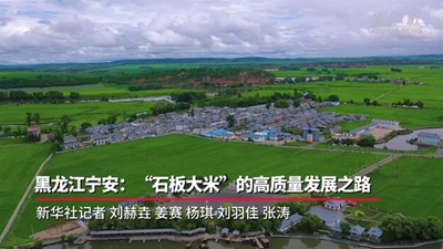 黑龙江宁安：“石板大米”的高质量发展之路