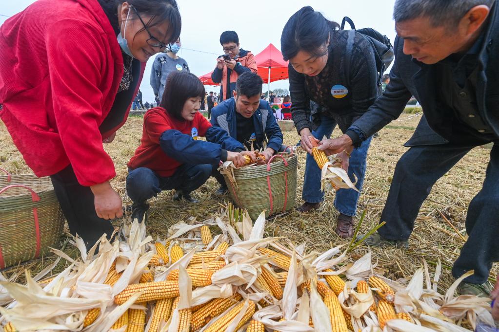 杭州瓶窑举办农民丰收运动会