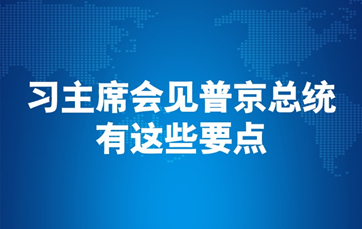 习主席会见普京总统，有这些要点